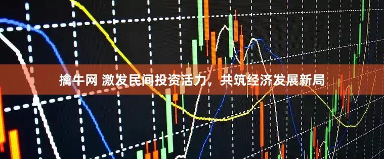 擒牛网 激发民间投资活力，共筑经济发展新局